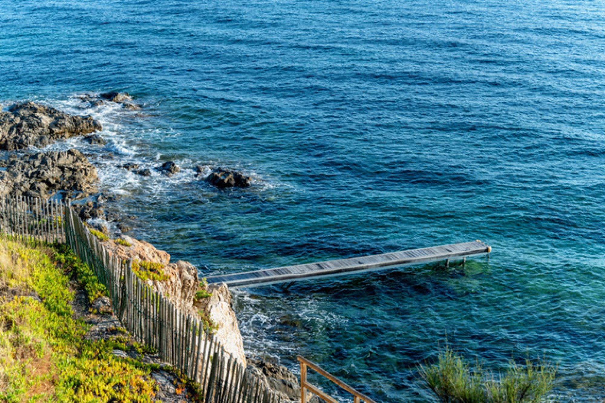 Water's Edge — 29